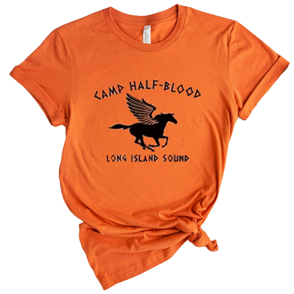 Camp Half-Blood Orange Shirt, Matching Family Youth Toddler Baby Game Shirt, Olympian Training Camp Half Blood Game Shirt,Percy Jackson Shirt,Camp Jupiter, Half Blood Chronicles Branches,Unisex Tee